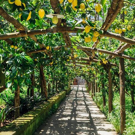 Agriturismo Il Giardino Di Vigliano 마사루브렌세 외부 사진