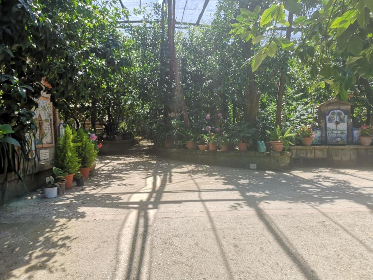 Agriturismo Il Giardino Di Vigliano 마사루브렌세 외부 사진