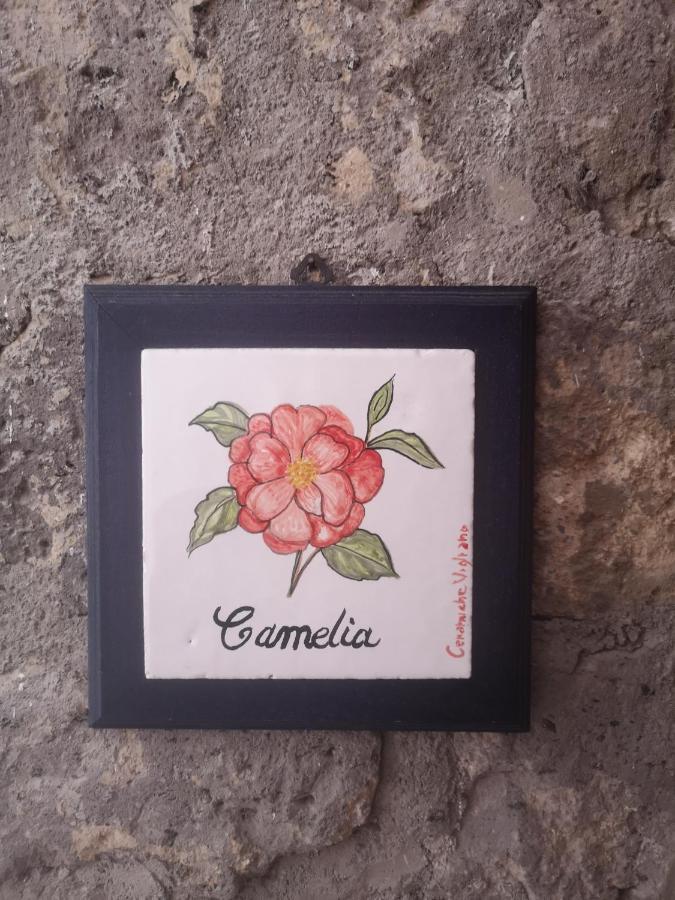 Agriturismo Il Giardino Di Vigliano 마사루브렌세 외부 사진