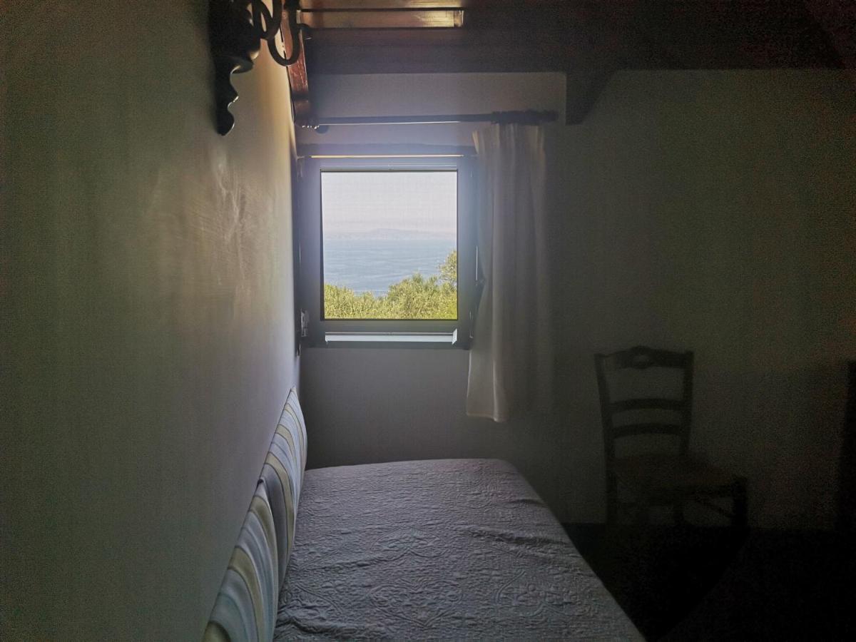 Agriturismo Il Giardino Di Vigliano 마사루브렌세 외부 사진